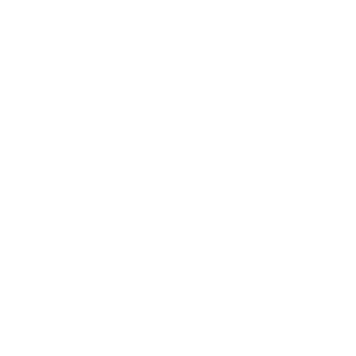 ABSOLUT BELLA
